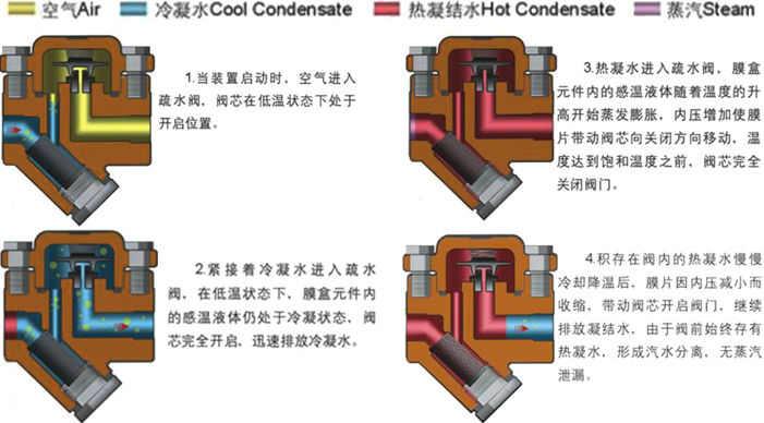 热静力膜盒式蒸汽疏水阀原理图